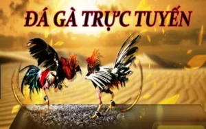 Tận Hưởng Đá Gà GA28 Tại EE88 Với Trận Đấu Kịch Tính Nhất